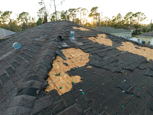 Best Cold Roofs  in Veedersburg, IN